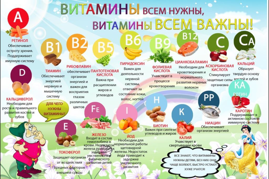 Информационные материалы о питании.