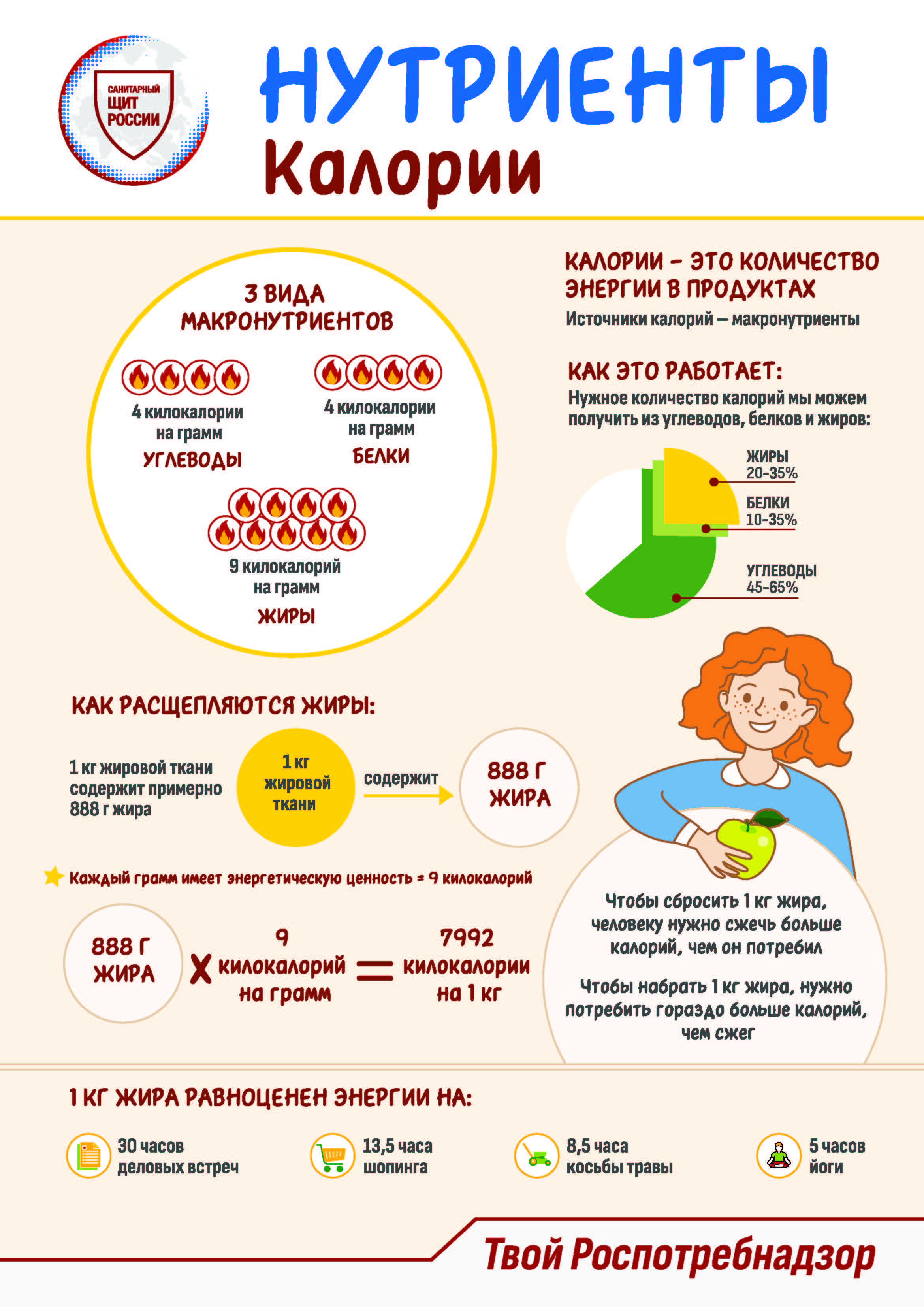 Информационные материалы о питании.