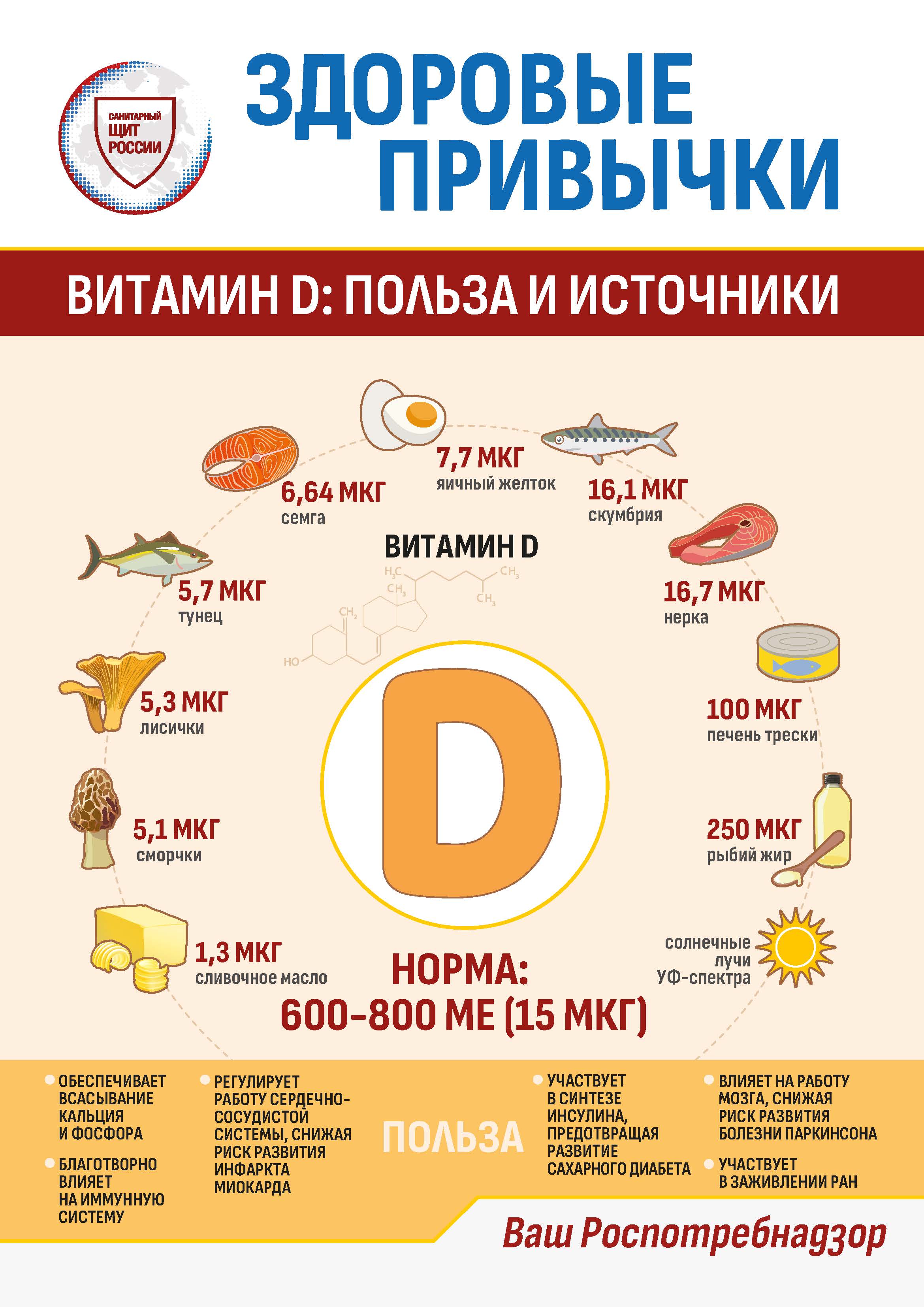 Информационные материалы о питании.