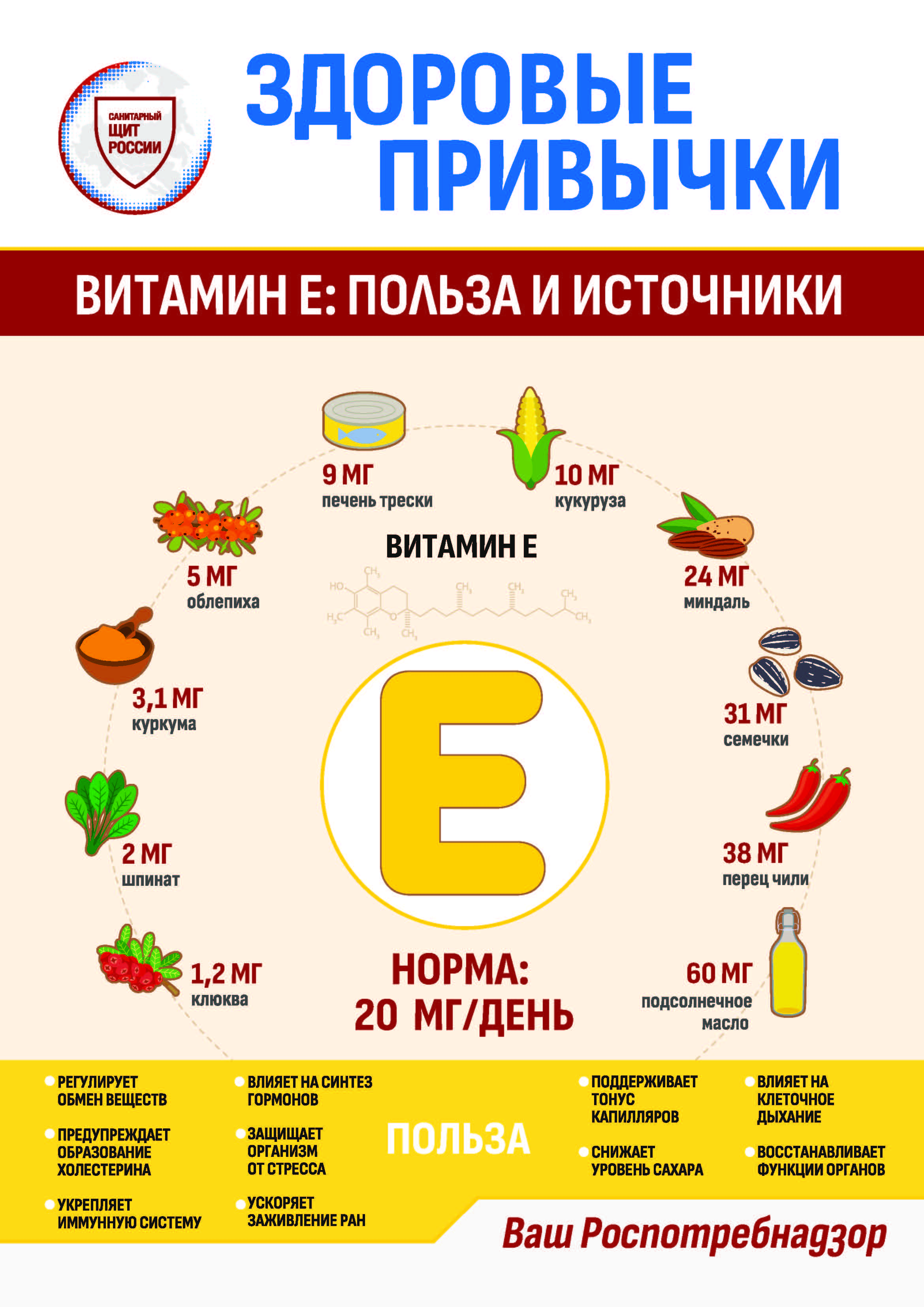 Информационные материалы о питании.