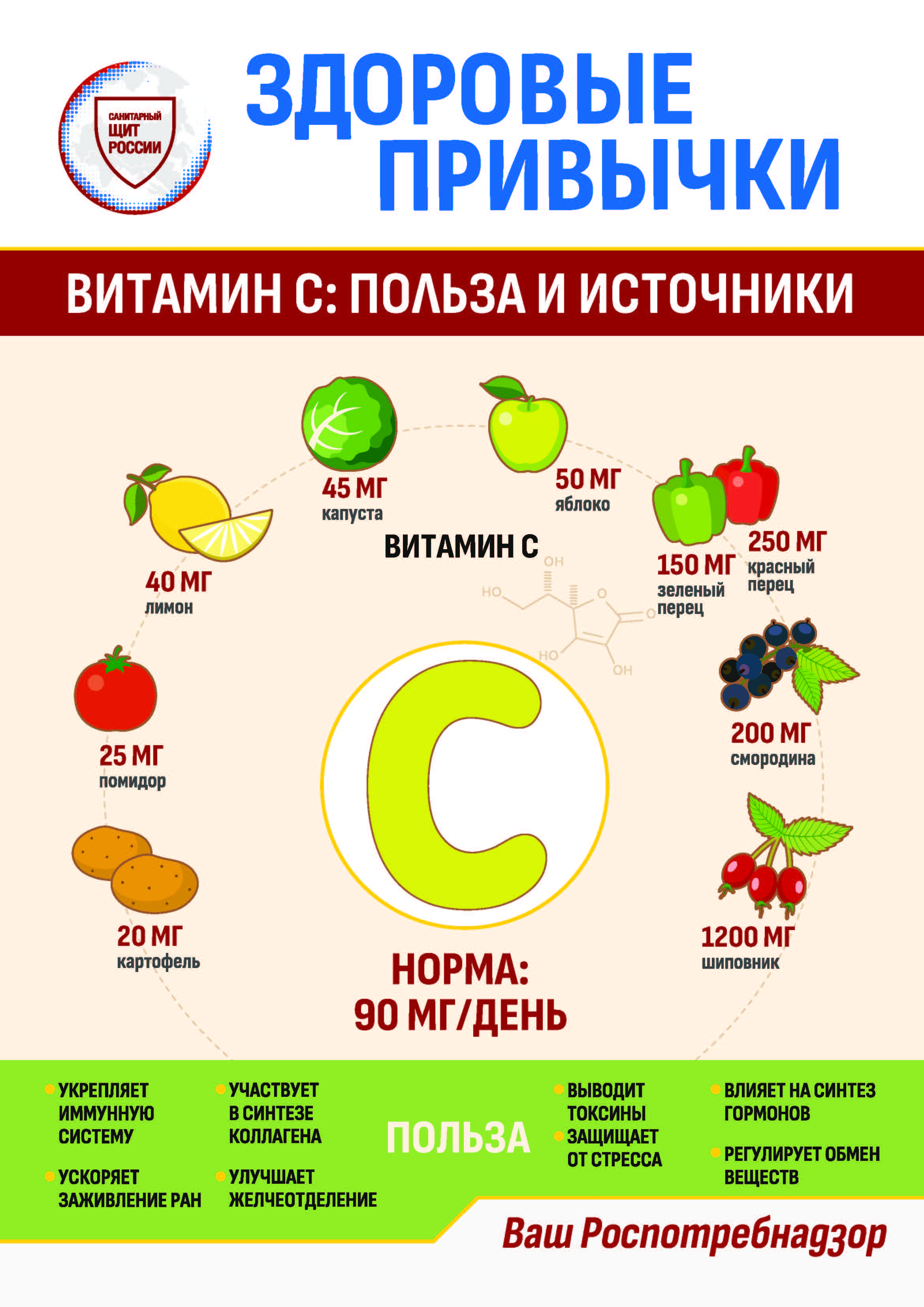 Информационные материалы о питании.