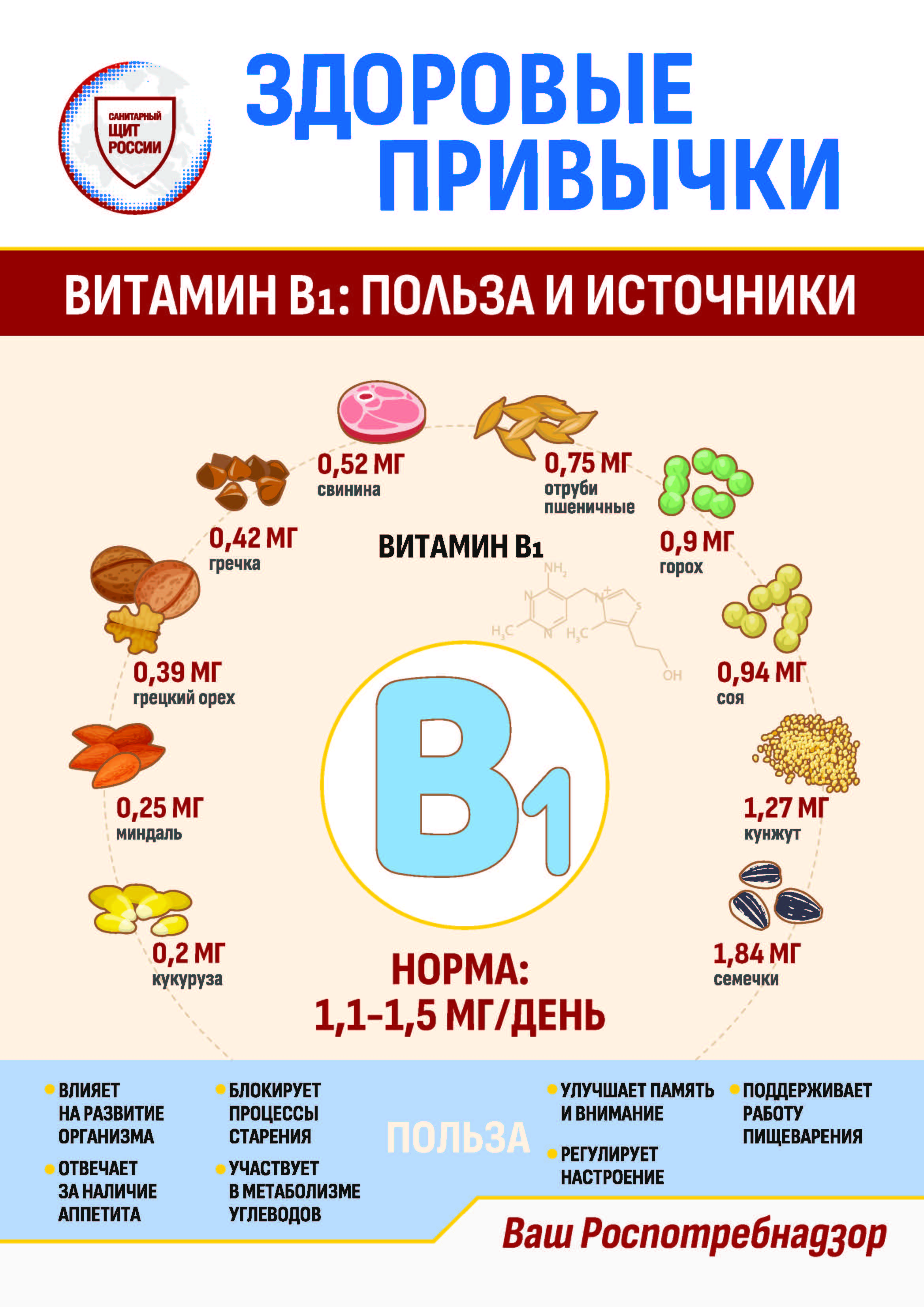 Информационные материалы о питании.