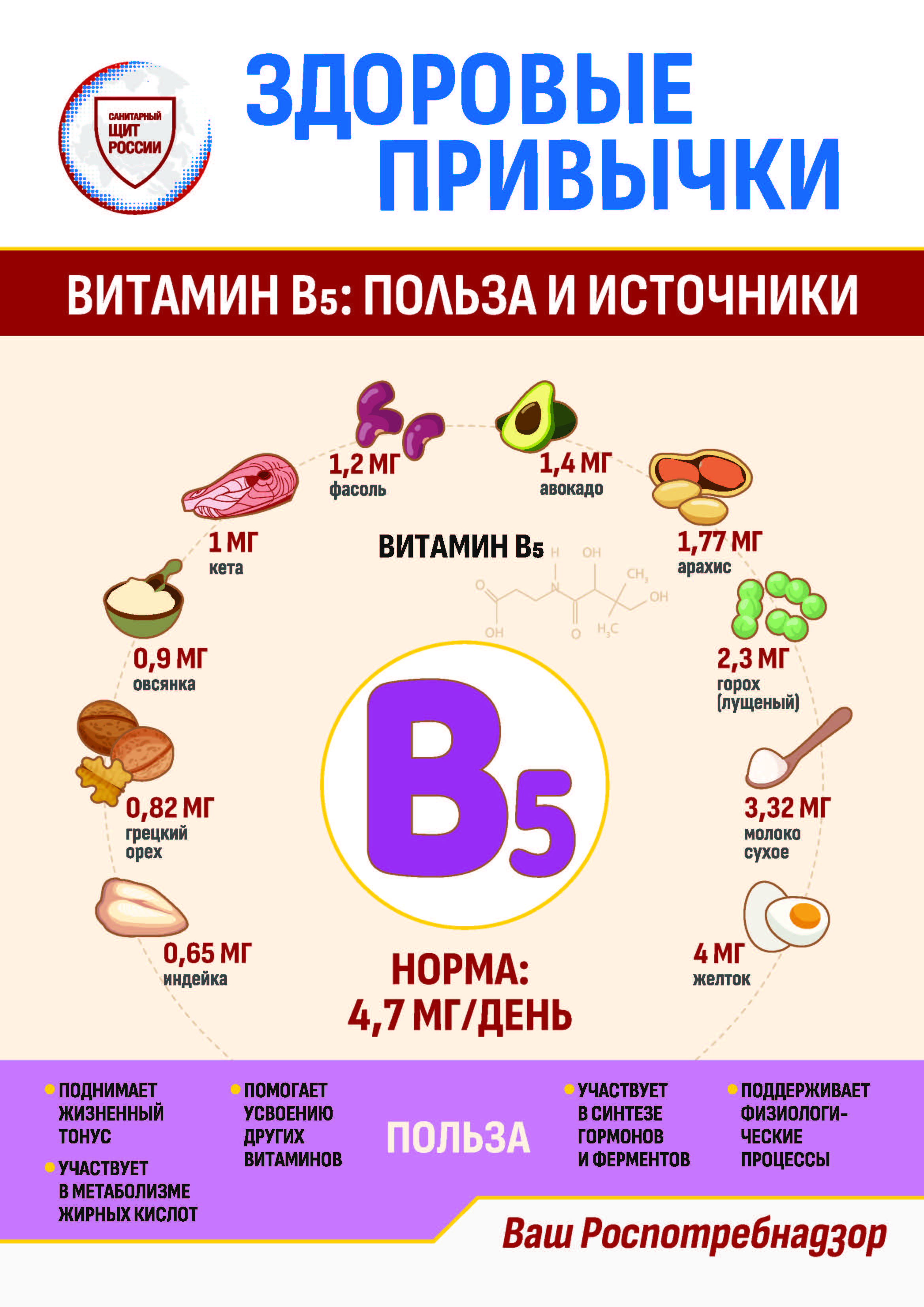 Информационные материалы о питании.