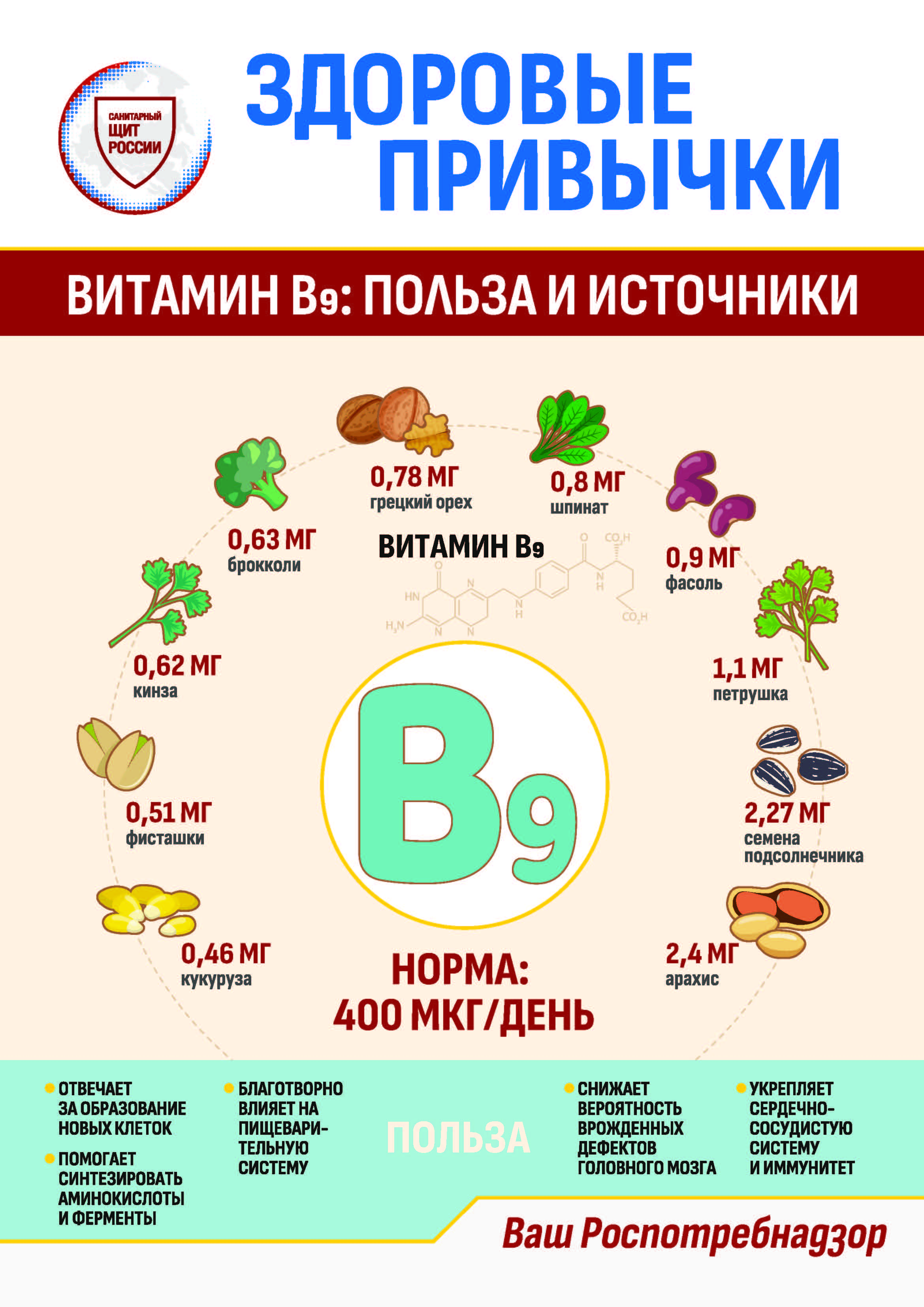 Информационные материалы о питании.