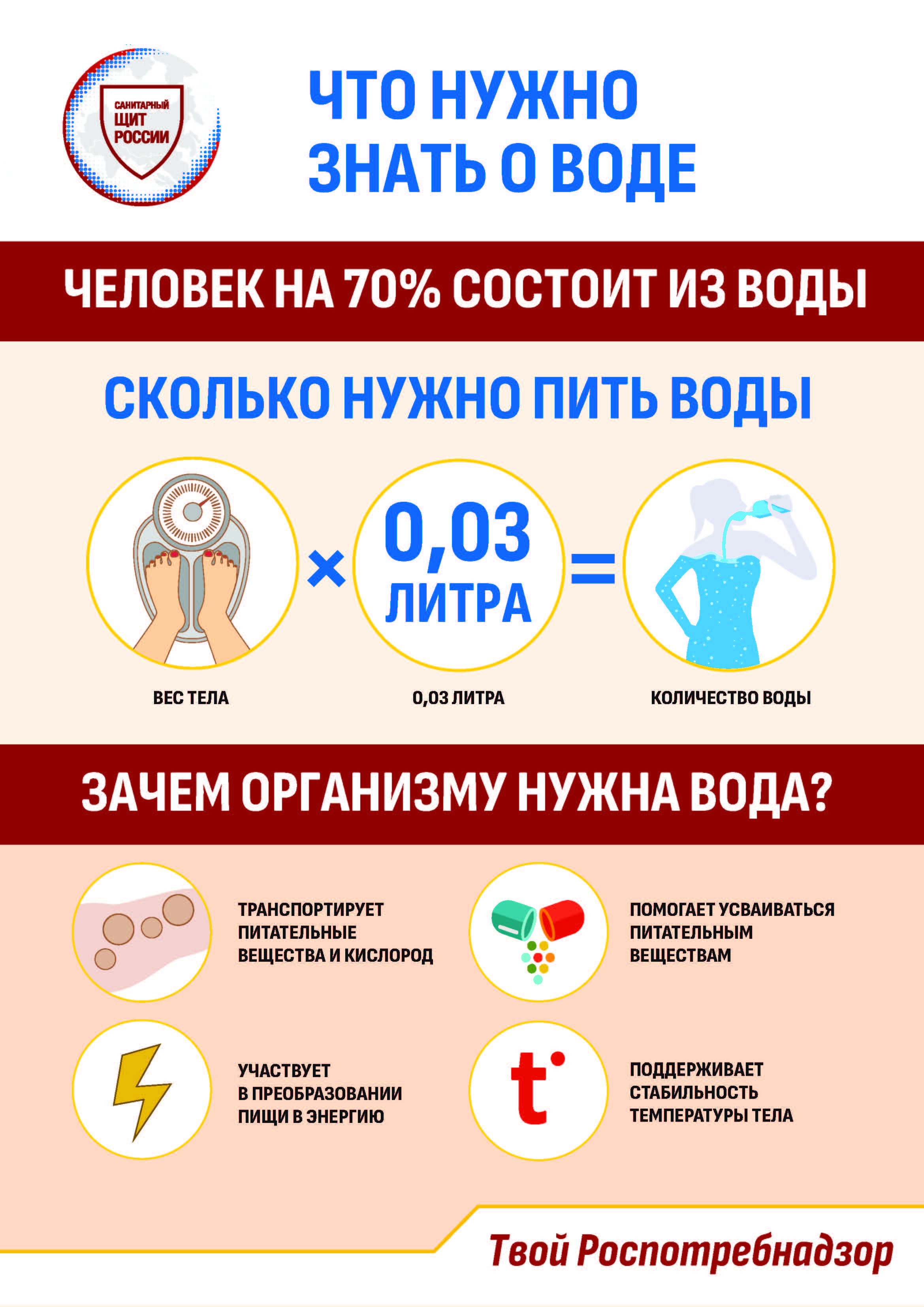 Информационные материалы о питании.