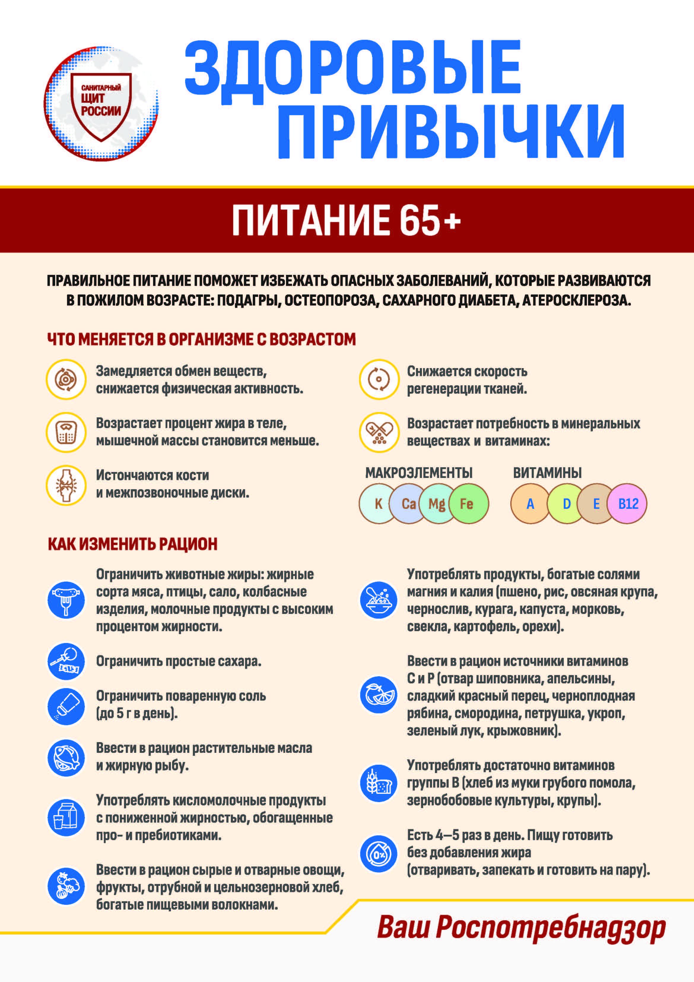 Информационные материалы о питании.